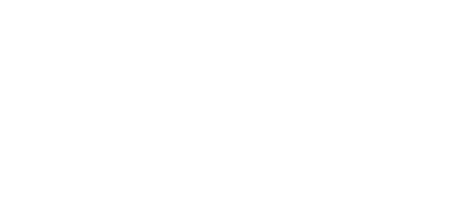 Hyper Bizarre Studio